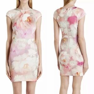 Ted Baker London Sz 1 Floral Pink Quaro Rose On Canvas Neoprene Cap Sleeve Dress